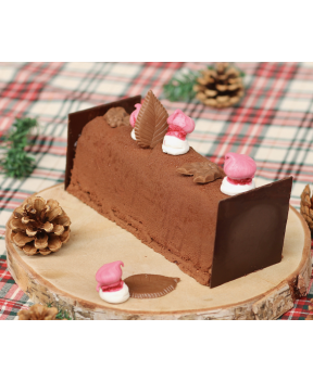 BÛCHE SAINT-GERMAIN...